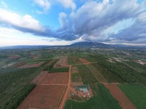 Nhà Xe Thanh Bình Xanh - Limousine VIP Sài Gòn, Bình Dương ↔ Đà Lạt