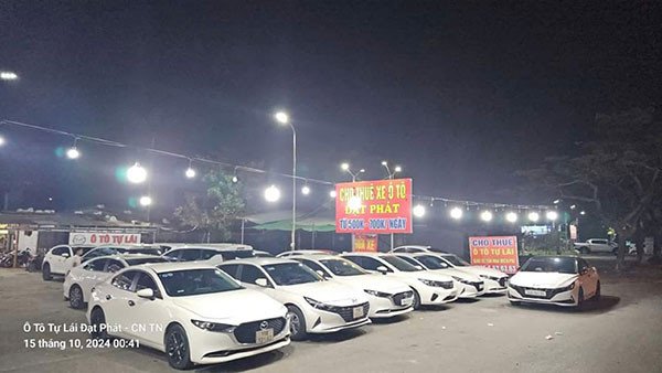 Bãi đỗ xe nhiều mẫu ô tô cho thuê