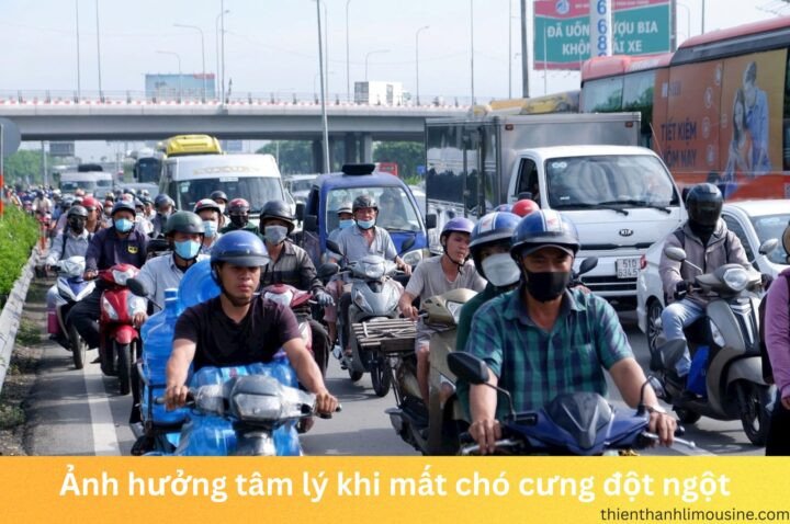 Hình ảnh một chú chó nhỏ đang nằm trên cỏ với vẻ mặt buồn bã, biểu tượng cho sự mất mát.