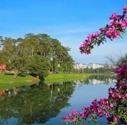 Nhà Xe Thanh Bình Xanh - Limousine VIP Sài Gòn, Bình Dương ↔ Đà Lạt