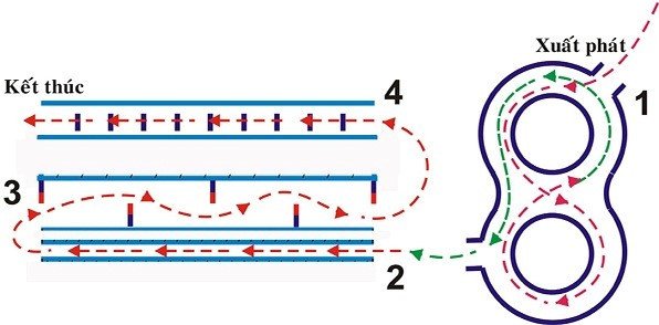 Sa hình thi bằng lái xe máy hạng A1