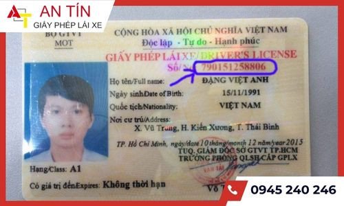Tác hại của việc sử dụng bằng lái xe giả