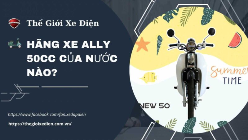 Thương hiệu xe máy Ally tại thị trường Việt Nam