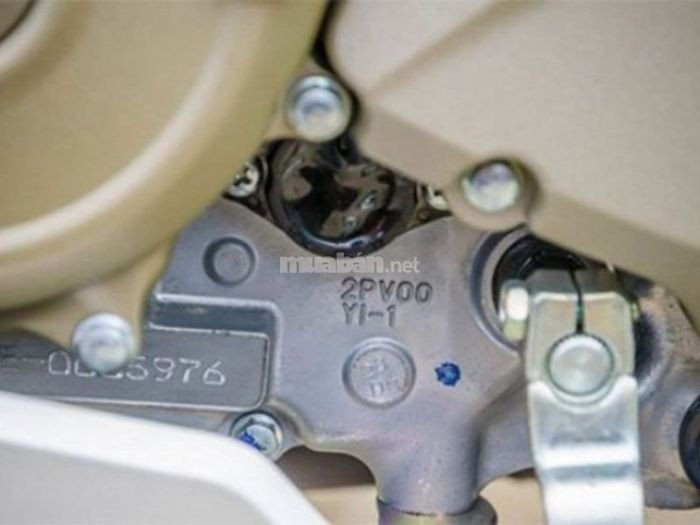 Vị trí số máy xe Vision