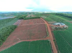 Nhà Xe Thanh Bình Xanh - Limousine VIP Sài Gòn, Bình Dương ↔ Đà Lạt