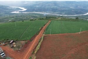 Nhà Xe Thanh Bình Xanh - Limousine VIP Sài Gòn, Bình Dương ↔ Đà Lạt