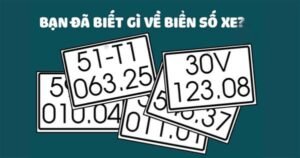 Dịch Biển Số Online 1