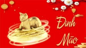 Đinh Mão 1987 Mệnh Gì