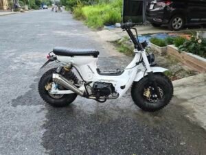 Honda Chaly Bán Xe Chaly Giá 2tr 1