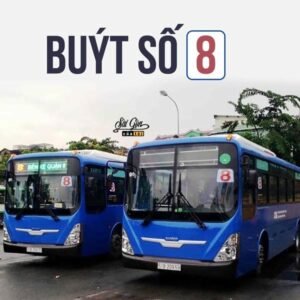 Lộ Trình Xe Buýt Số 8