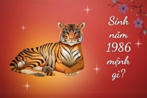 Nữ Sinh Năm 1986 Mệnh Gì