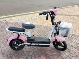 Xe Đạp Điện Tại Quận Bình Tân