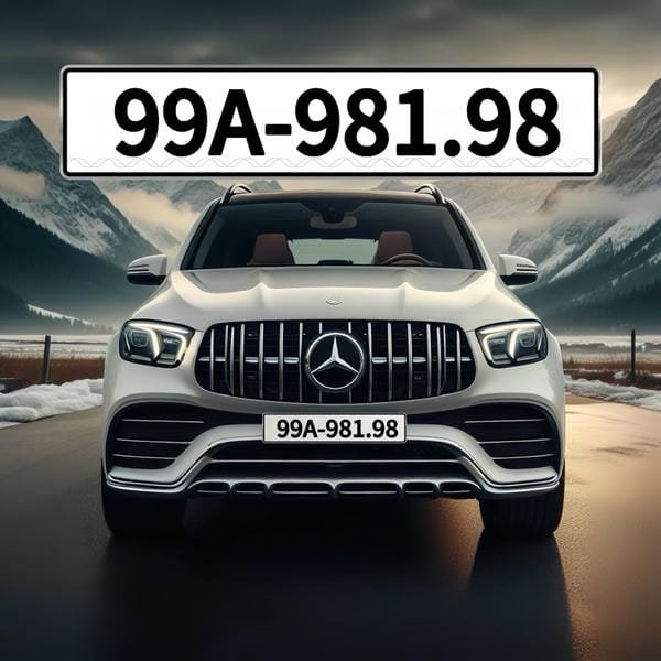 app định giá biển số xe 4