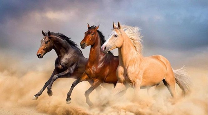 Dự Đoán **Tuổi Mậu Ngọ Hôm Nay** và Con Số May Mắn