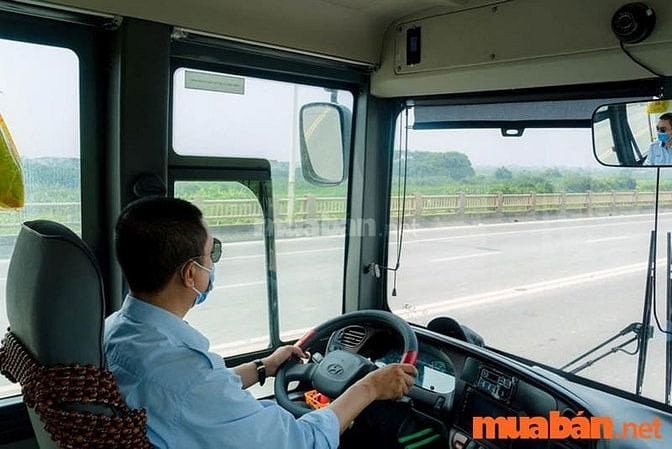 Tuyển Tài Xế Lớn Tuổi TPHCM Mới Nhất và Cơ Hội Việc Làm Hấp Dẫn Bác tài xế đưa đón học sinh cần sự cẩn thận và trách nhiệm