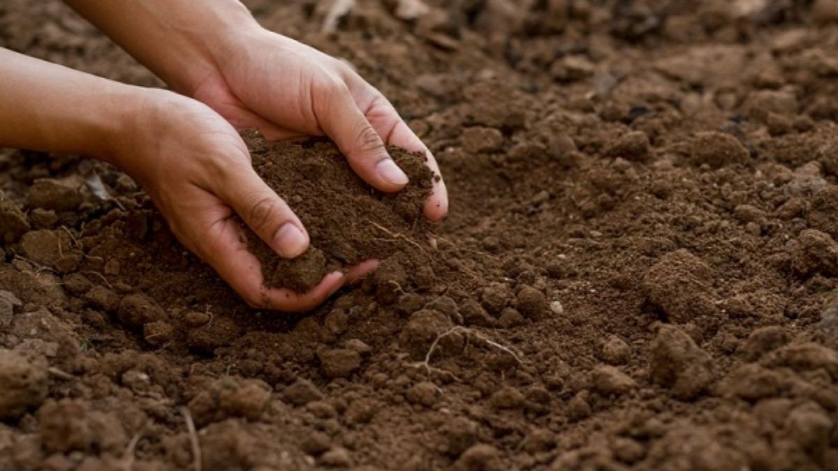 Bản mệnh Thổ và Khí ảnh hưởng đến những người sinh vào tháng 9