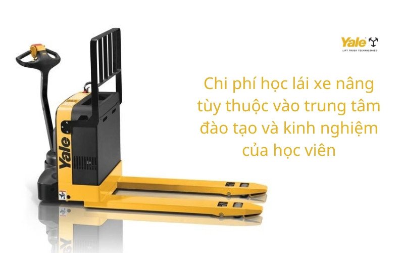 Bảng so sánh chi phí đào tạo lái xe nâng cho các đối tượng khác nhau
