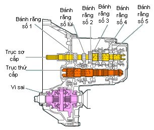Bên trong cấu tạo hộp số ngang của xe ô tô