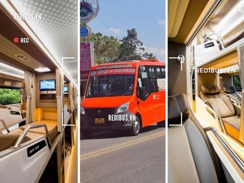 Số Điện Thoại Xe Phương Trang Hồng Ngự, Đồng Tháp Chi Tiết