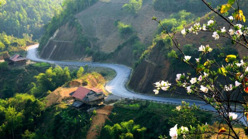 Biển số xe Điện Biên 27