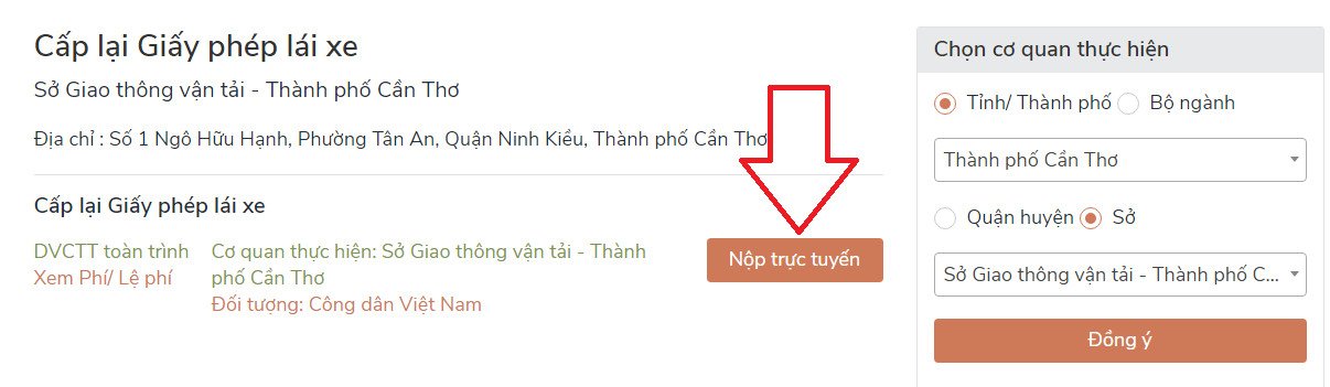 Biểu phí cập nhật cho dịch vụ cấp lại bằng lái xe máy online