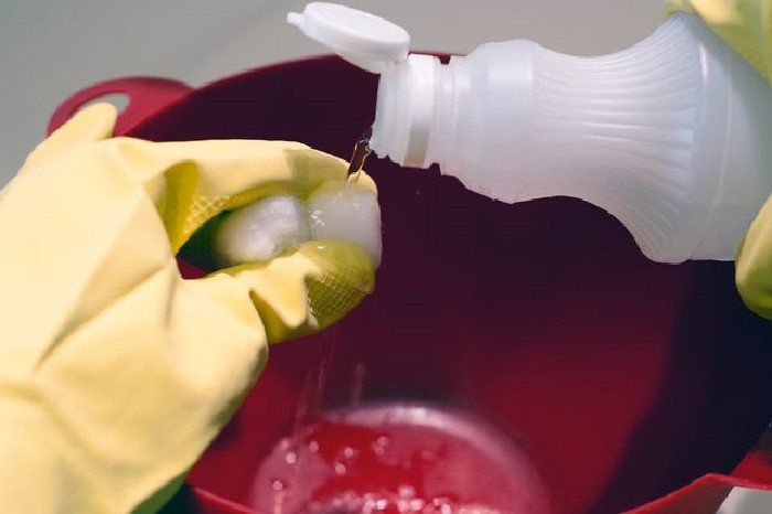 Bông gòn thấm giấm đặt gần nơi loài gặm nhấm thường xuất hiện