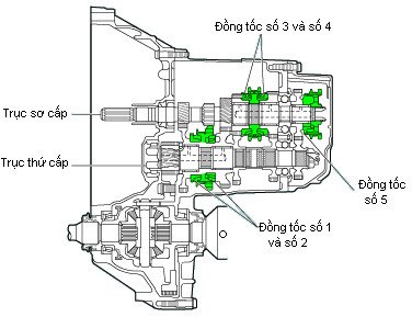 Các chi tiết của cơ cấu gài số