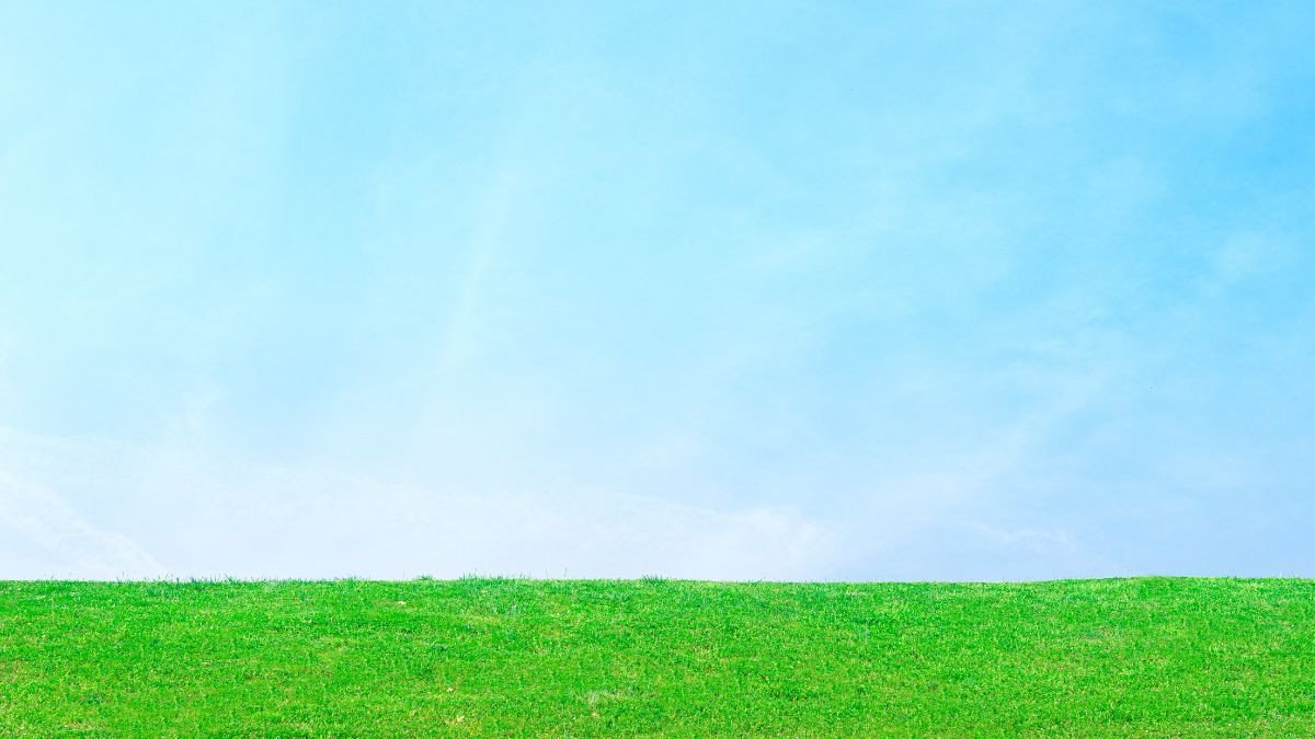 Các màu sắc hợp mệnh Mộc của người sinh năm 1980