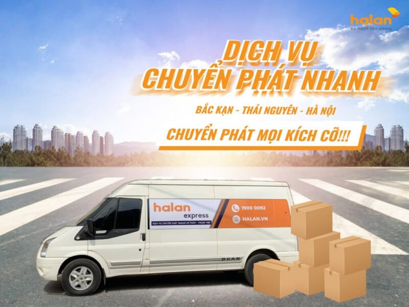 Các phương tiện vận tải đa dạng của công ty vận chuyển