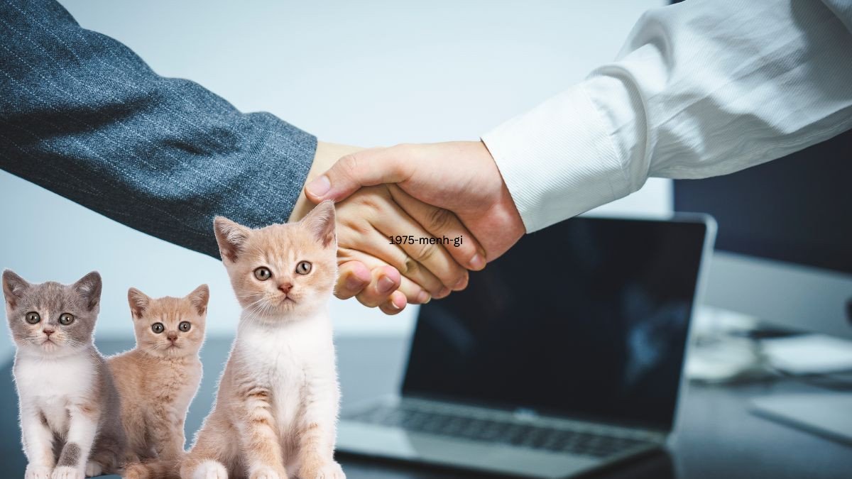 Các tuổi hợp tác làm ăn với Ất Mão 1975