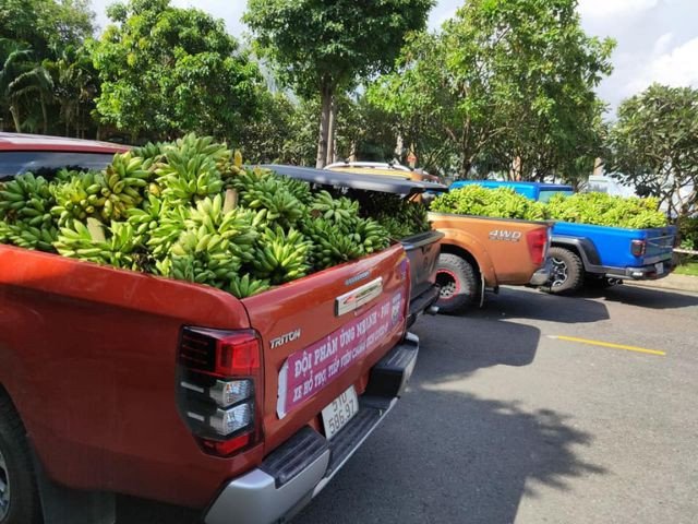 Cận cảnh thùng hàng phía sau của một chiếc xe bán tải