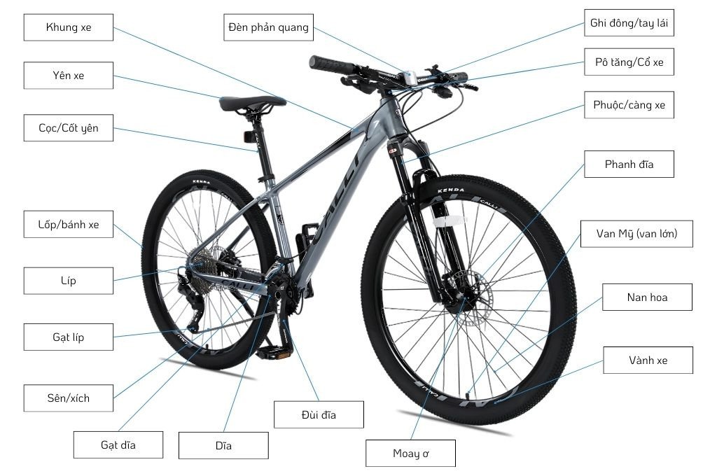 Cấu tạo cơ bản của xe đạp thể thao nam với lốp to và phuộc giảm xóc