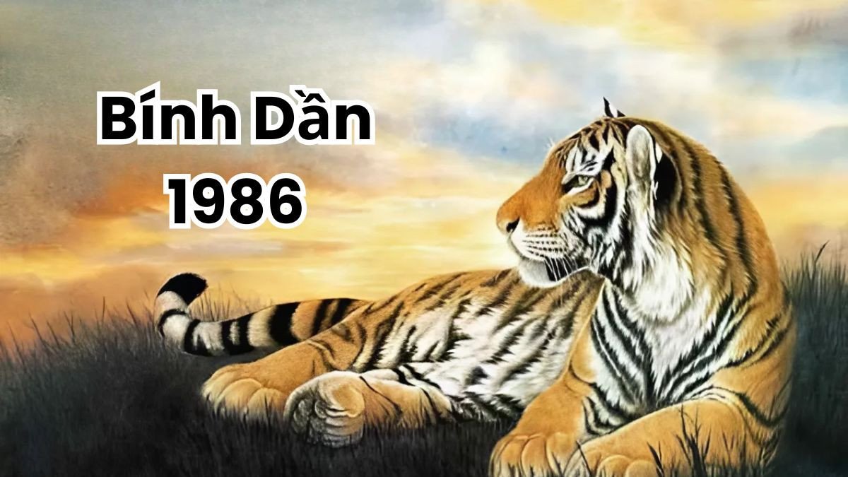 Chân dung người đàn ông tuổi Dần 1986 mạnh mẽ và quyết đoán