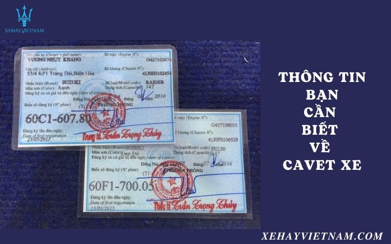 Chi tiết kỹ thuật trên giấy tờ xe được phóng to