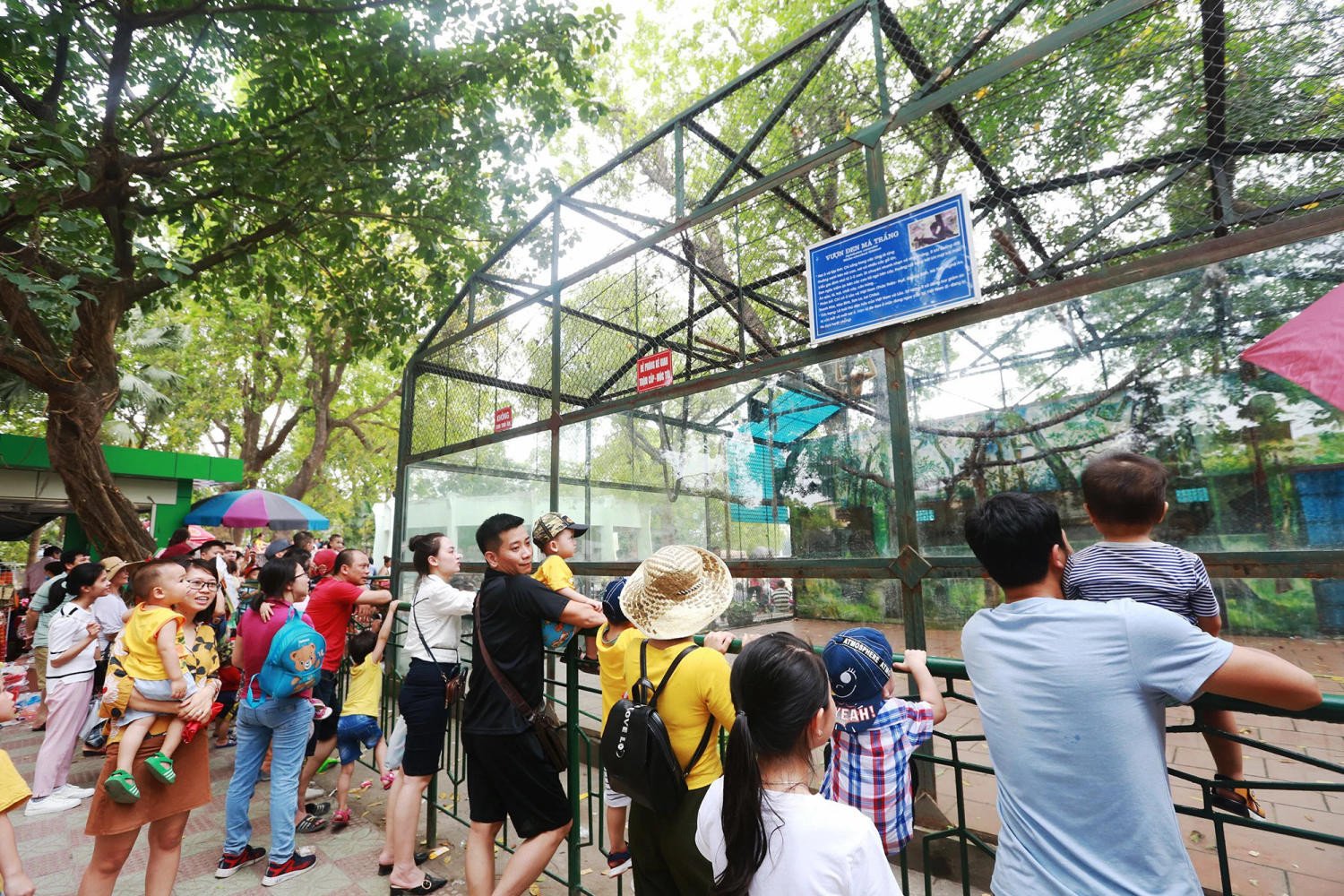 Du khách thong thả dạo bước trong khuôn viên công viên Thủ Lệ ngày thường