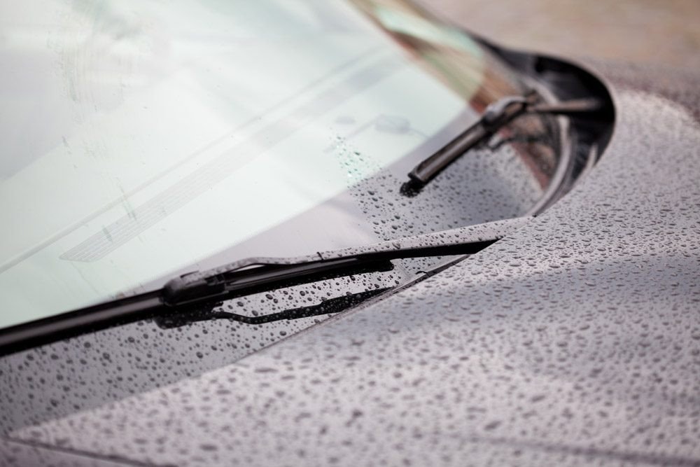 Hiệu ứng lá sen trên bề mặt sơn được phủ ceramic