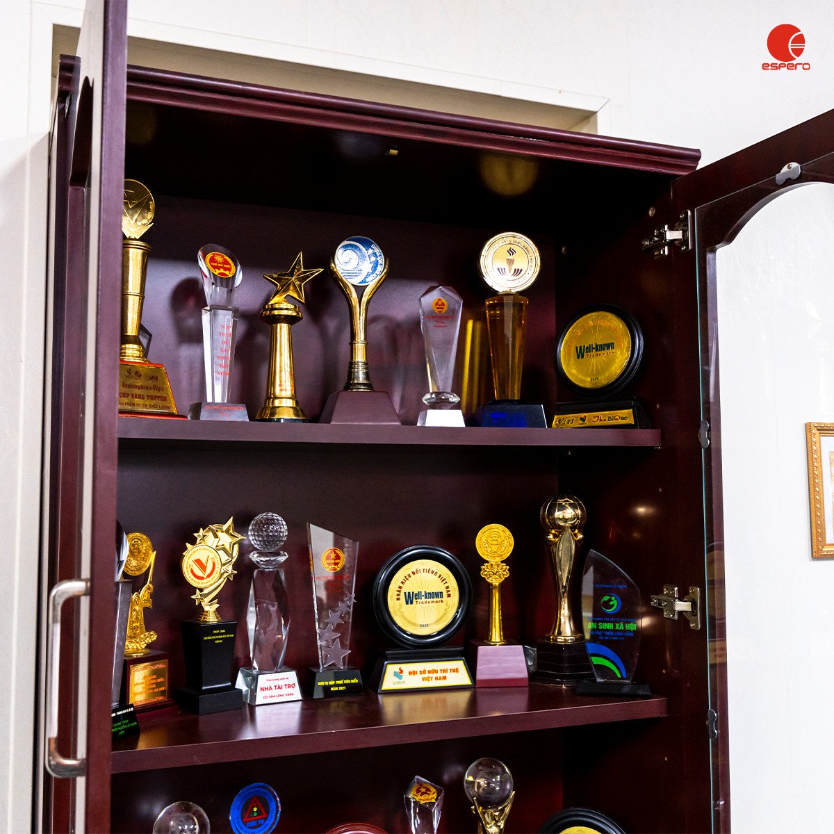 Hình ảnh các chứng nhận giải thưởng mà thương hiệu Detech đạt được qua các năm