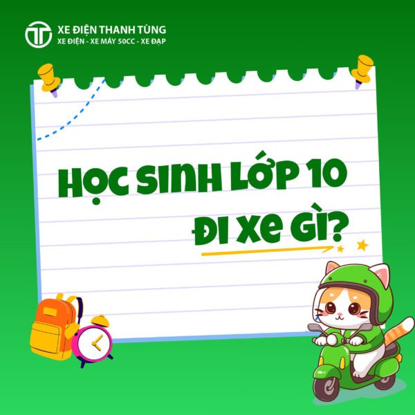 Hình ảnh học sinh lớp 10 đang tìm hiểu về các mẫu xe điện phù hợp