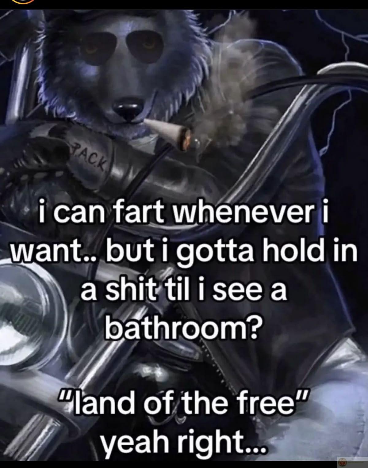 Hình ảnh meme sói cô độc được sử dụng để châm biếm sự tự tin thái quá một cách hài hước