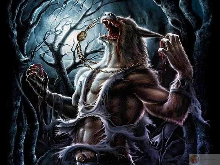 Hình ảnh meme sói cô độc với chữ chế, thể hiện sự đối lập giữa vẻ ngoài và nội dung