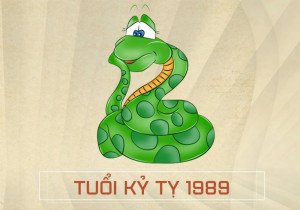 Hình ảnh minh họa biểu đồ Tam Tai cho người tuổi Tỵ 1989