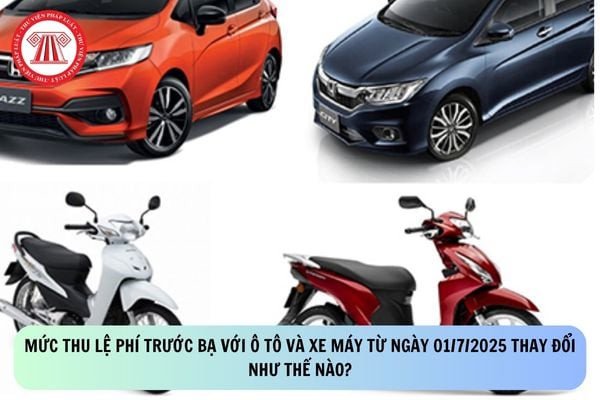 Hình ảnh minh họa các loại xe ô tô đang di chuyển trên đường phố