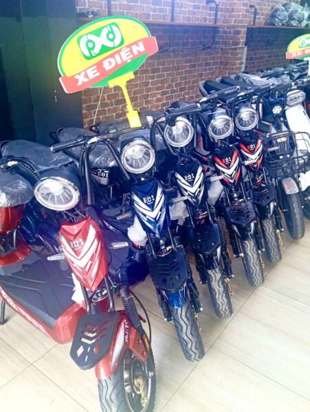 Hình ảnh minh họa các phiên bản xe điện 133S khác nhau trên thị trường