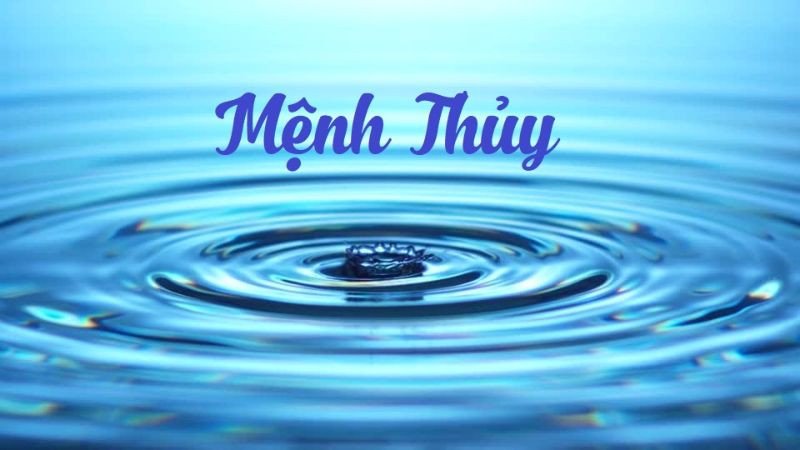 Giải Mã **Năm 1982 Là Mệnh Gì** và Bí Quyết Thành Công