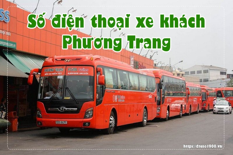 Hình ảnh minh họa một bến xe lớn với nhiều xe khách đang đỗ