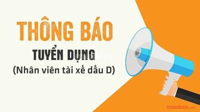Hình ảnh minh họa nhu cầu tuyển dụng tài xế bằng D hiện nay