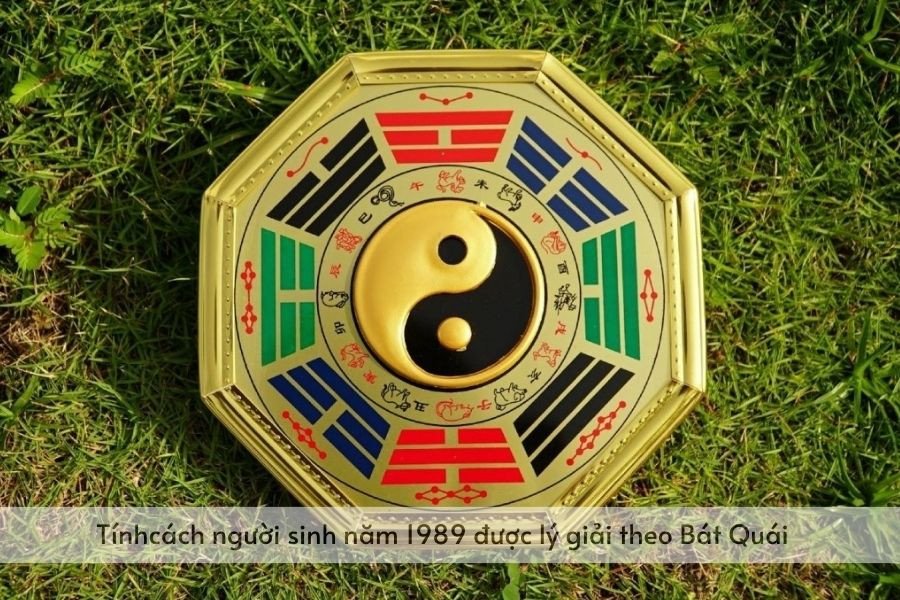 Hình ảnh minh họa sự khác biệt về cung Mệnh giữa nam và nữ Kỷ Tỵ 1989