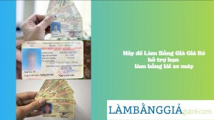 Hình ảnh minh họa tâm lý lo lắng khi tham gia giao thông mà không có giấy tờ đầy đủ