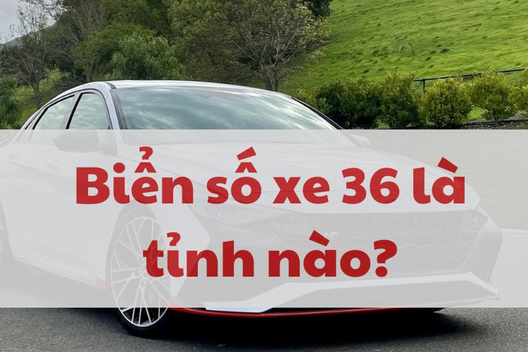 Biển số xe 36 ở đâu: Khám phá ý nghĩa biển số Thanh Hóa Biển số xe 36 ở đâu