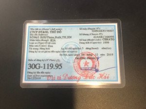 Hình ảnh minh họa về sự phức tạp của giấy tờ pháp lý xe cộ